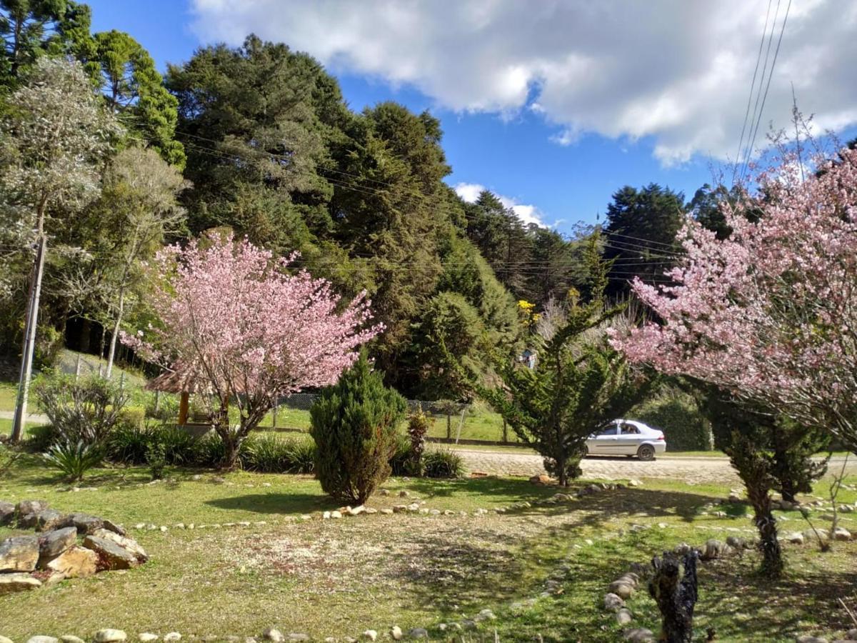 Colonia Saa Hotell Campos do Jordão Eksteriør bilde
