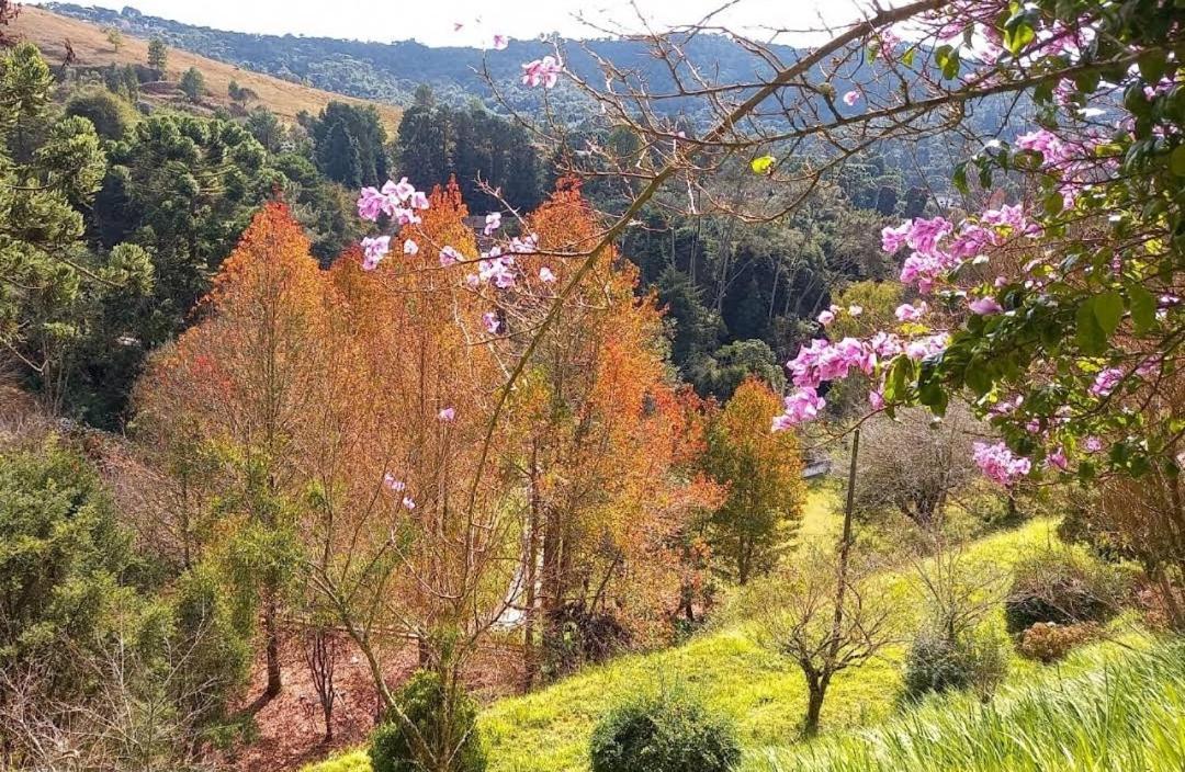 Colonia Saa Hotell Campos do Jordão Eksteriør bilde