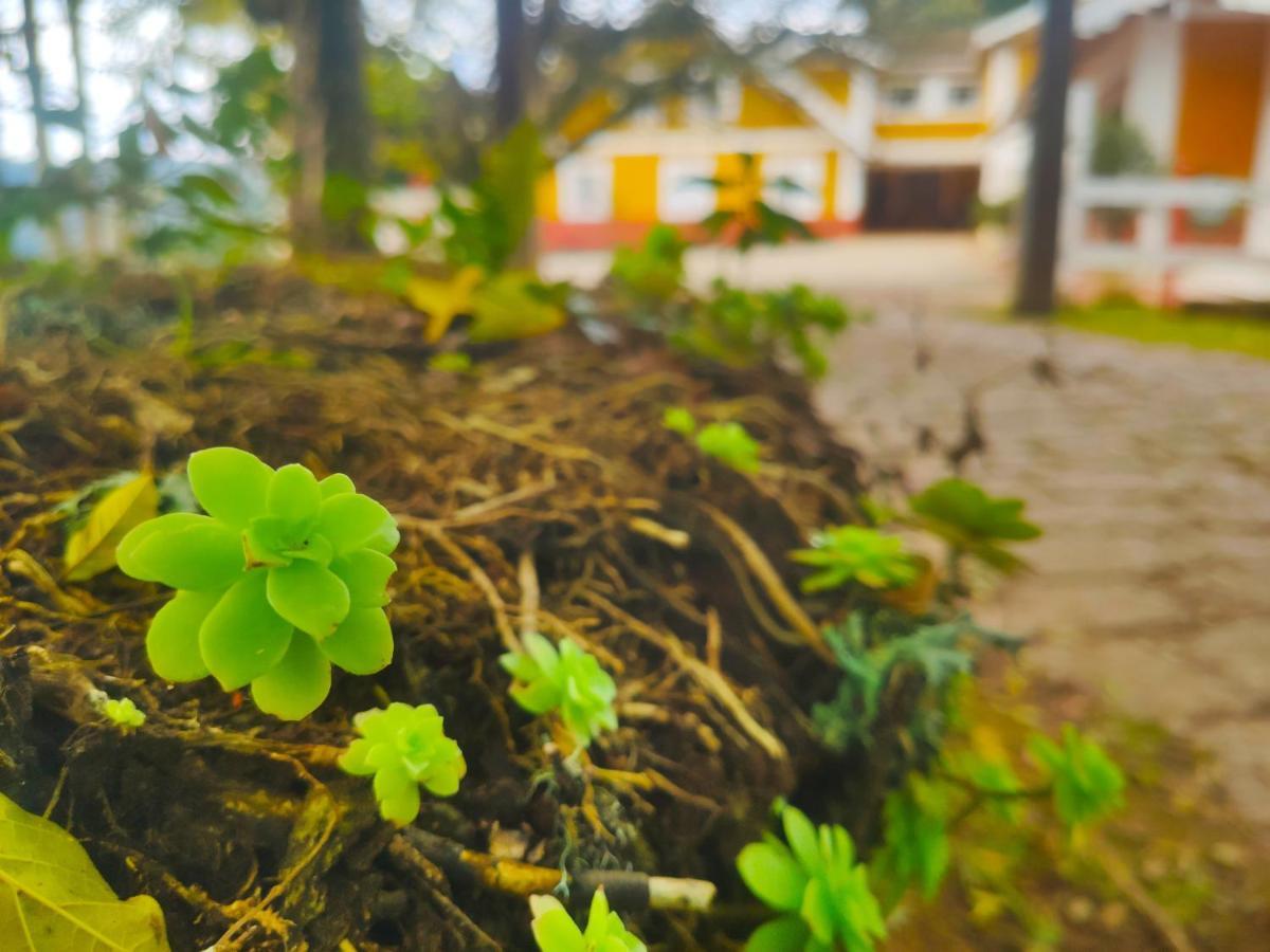 Colonia Saa Hotell Campos do Jordão Eksteriør bilde